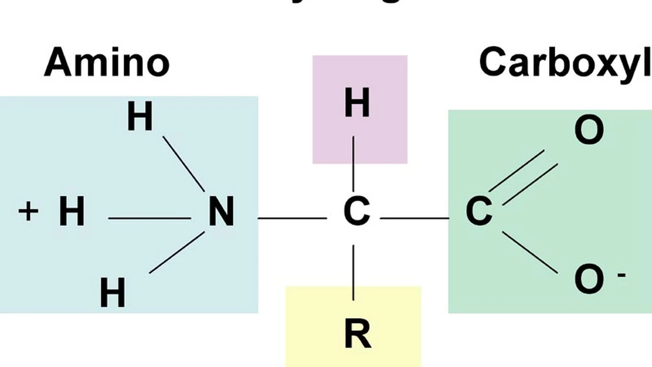 blue bowl of black bean beef tortilla soup on a board with cilantro and shredded cheese in background
